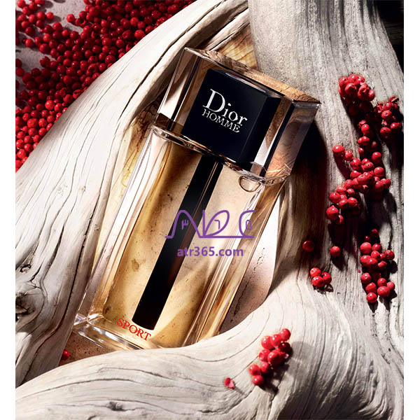 buy price dior homme sport 2021 perfume قیمت خرید عطر ادکلن دیور هوم اسپرت
